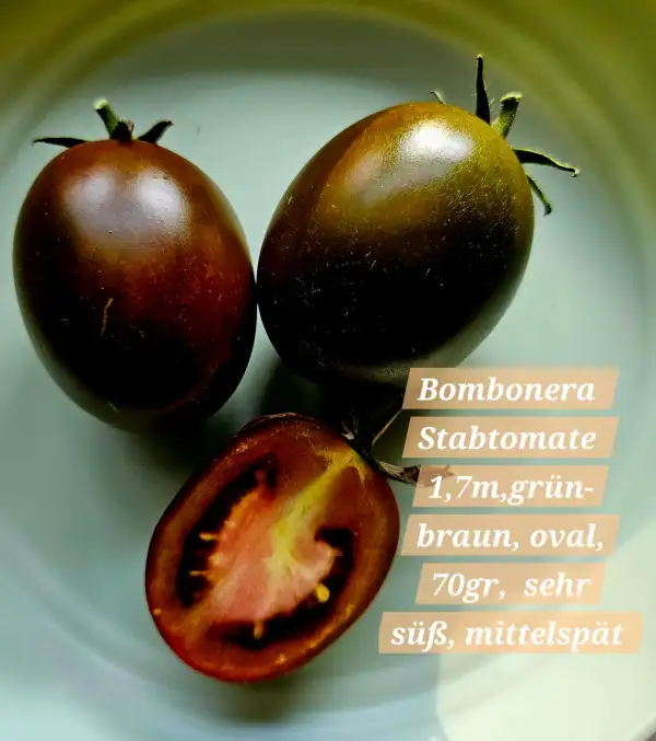 Tomaten: Bombonera