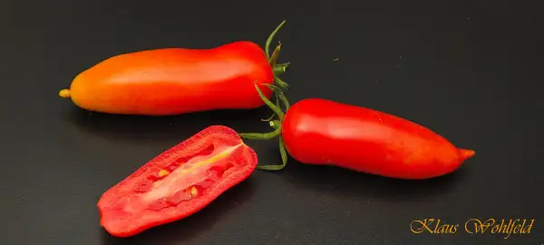Tomaten: Bonanza