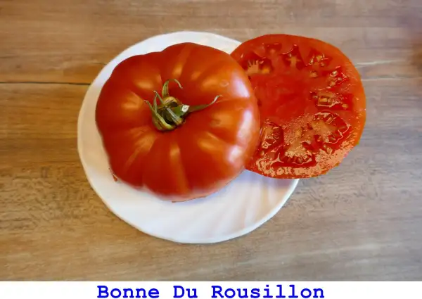 Tomaten: Bonne Du Roussillon