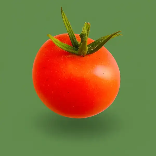 Tomaten: Bonner Beste