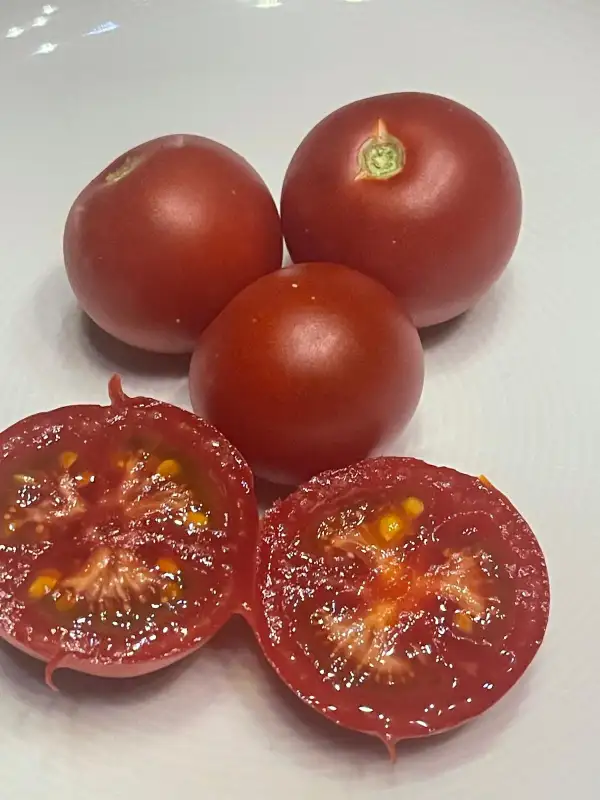 Tomaten: Bonner´s Beste