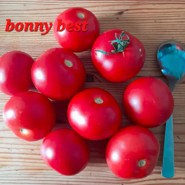 Tomaten: Bonny Best
