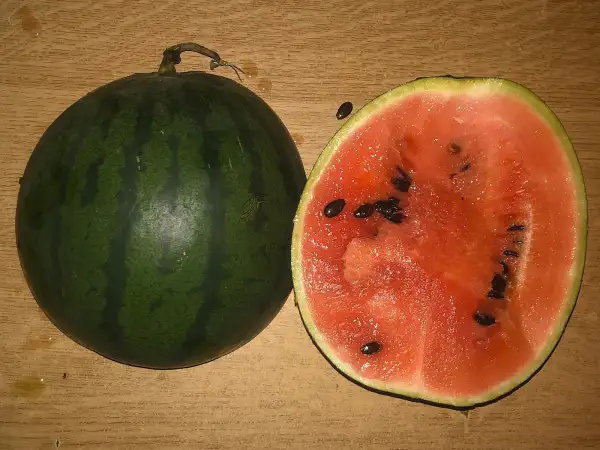 Melonen: Borchansky wassemelone