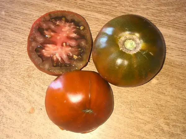 Tomaten: Bordo