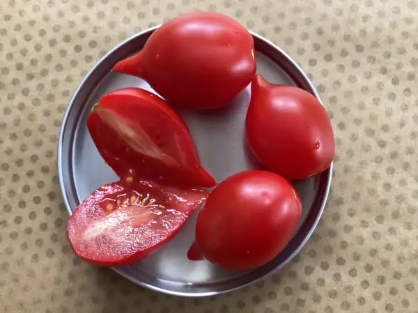 Tomaten: Borgo celano