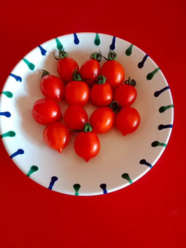 Tomaten: Borgo Cellano