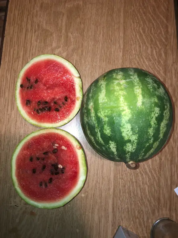 Obst: Borisfen wassermelone