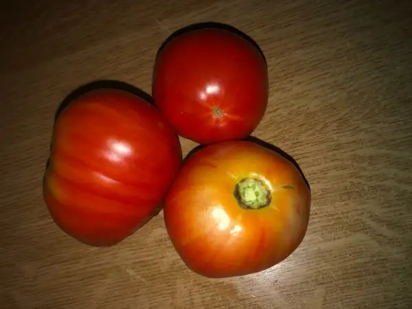 Tomaten: Borovie