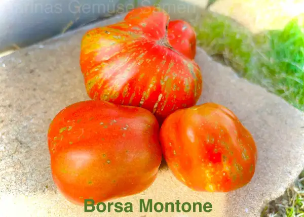 Tomaten: Borsa Montone