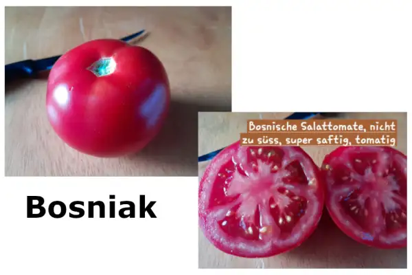 Tomaten: Bosniak