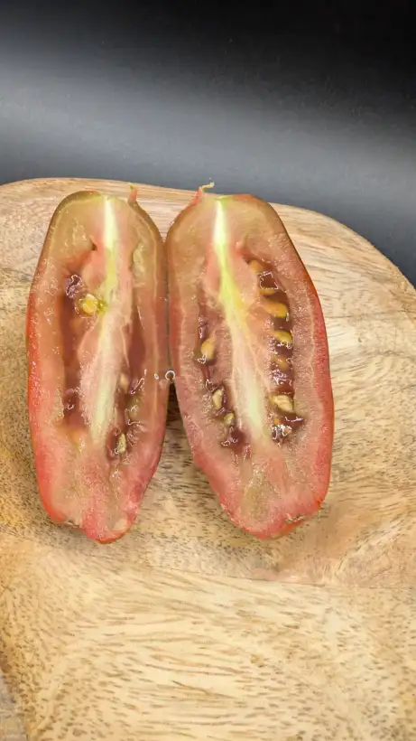 Tomaten: Boxer Rebellion (Dwarf)