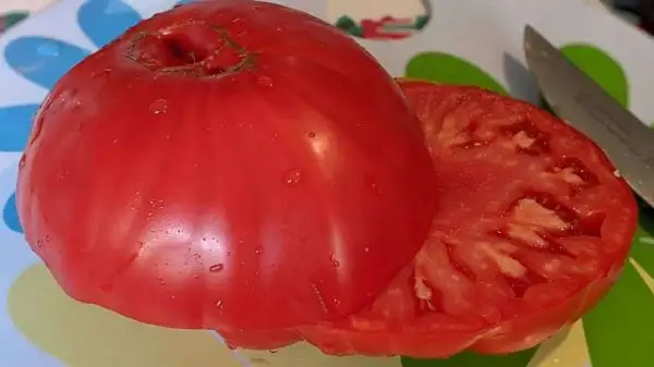 Tomaten: Bozener Riesen