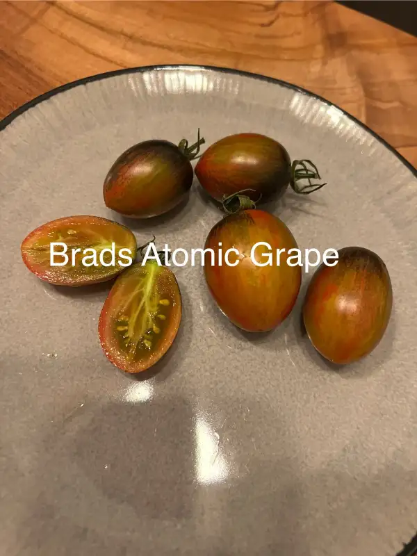 Tomaten: Brad’s Atomic Grape