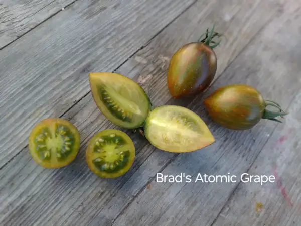 Tomaten: Brad