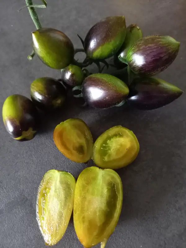 Tomaten: Brad`s Atomic Grape