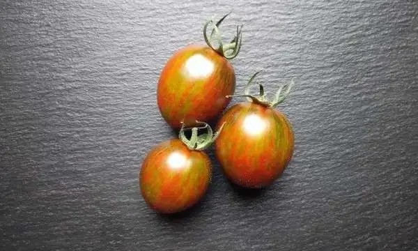 Tomaten: Brad’s Atomic Grape