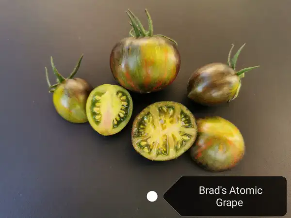 Tomaten: Brad´s Atomic Grape