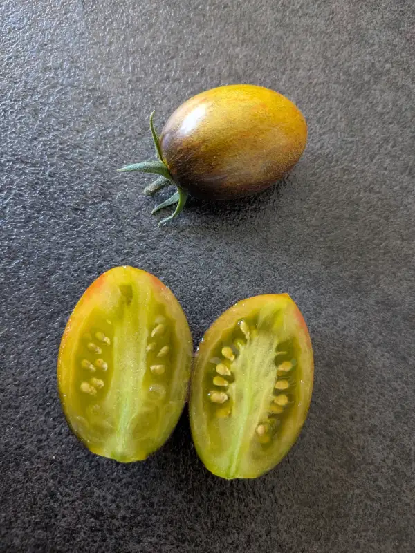 Tomaten: Brad