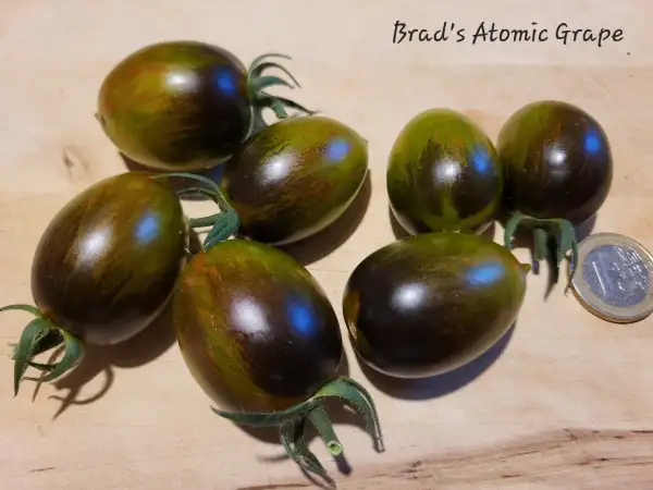 Tomaten: Brad´s Atomic Grape