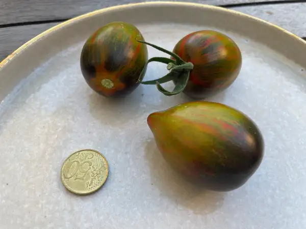 Tomaten: Brads atomic Fusion