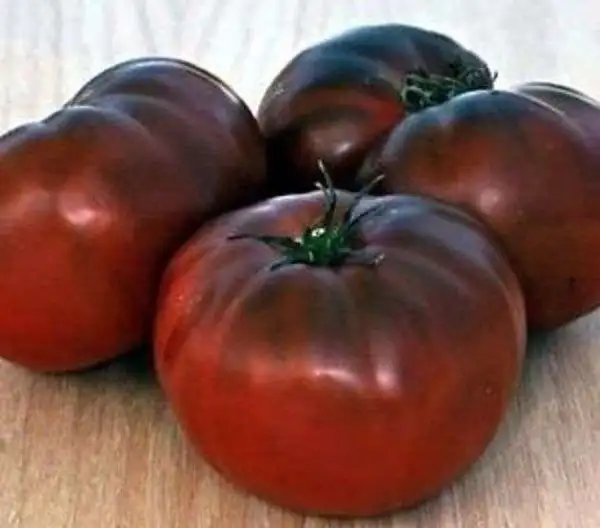 Tomaten: Brandywine Black