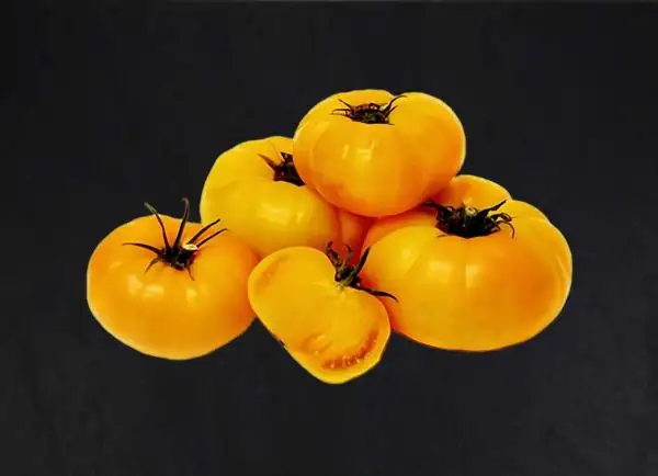 Tomaten: Brandywine Yellow