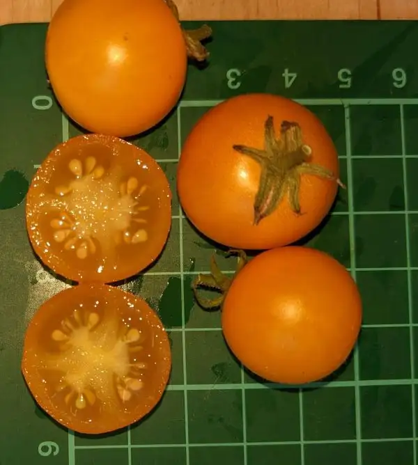 Tomaten: Brasil