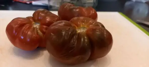 Tomaten: Braun gerippte Fleischtomate