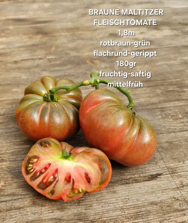 Tomaten: Braune Maltitzer