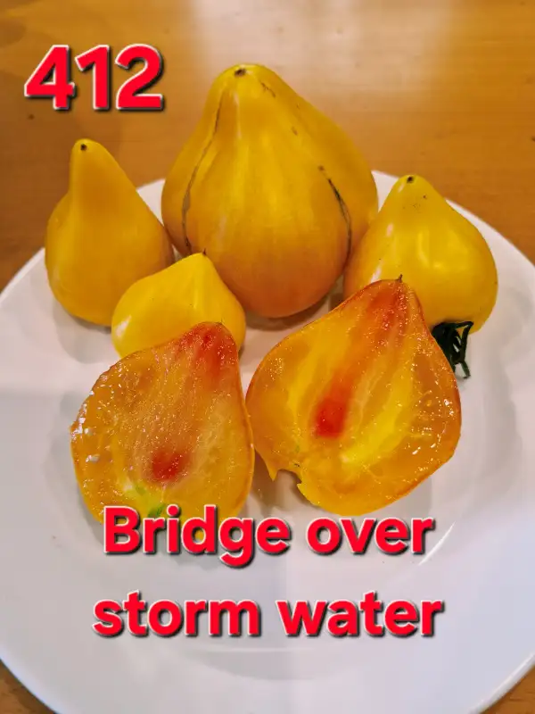 Tomaten: Bridge over storm water