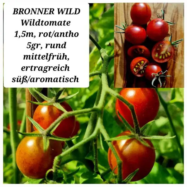 Tomaten: Bronner Wild