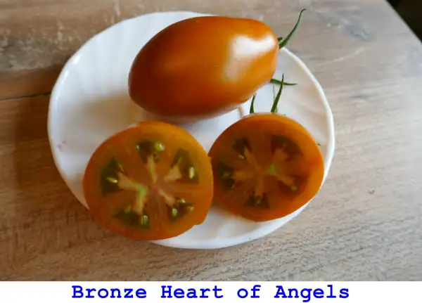 Tomaten: Bronze Heart Of Angels