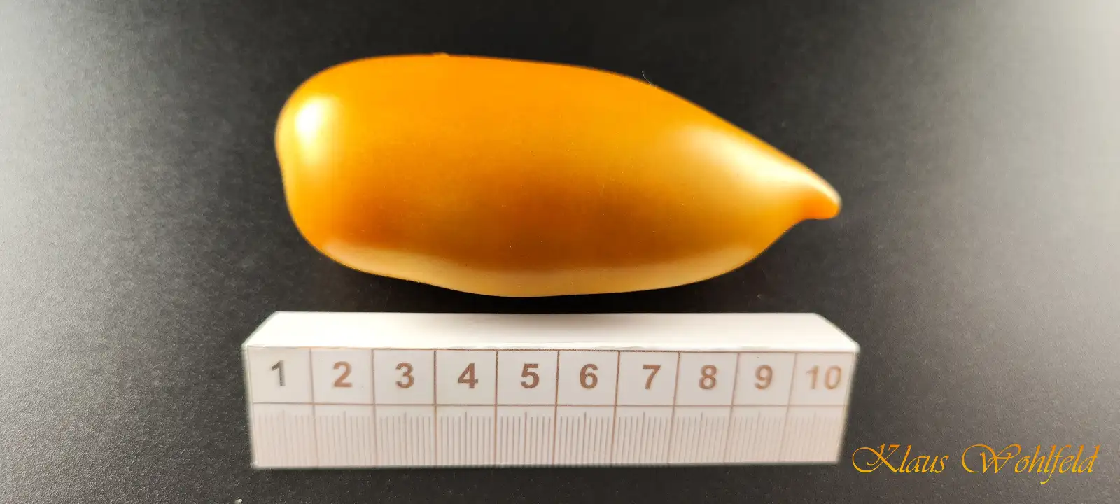 Tomaten: Bronze Shell