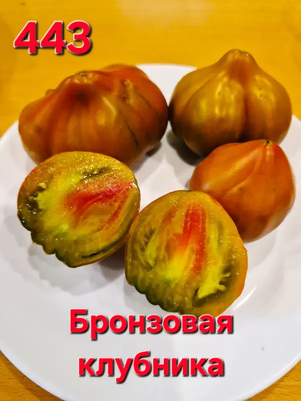 Tomaten: Bronze strawberry