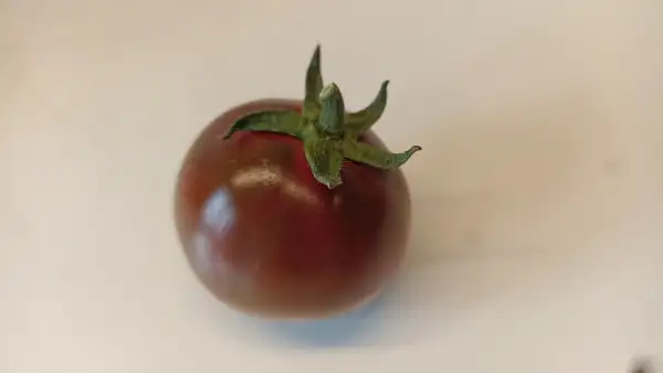 Tomaten: Brown Berrie