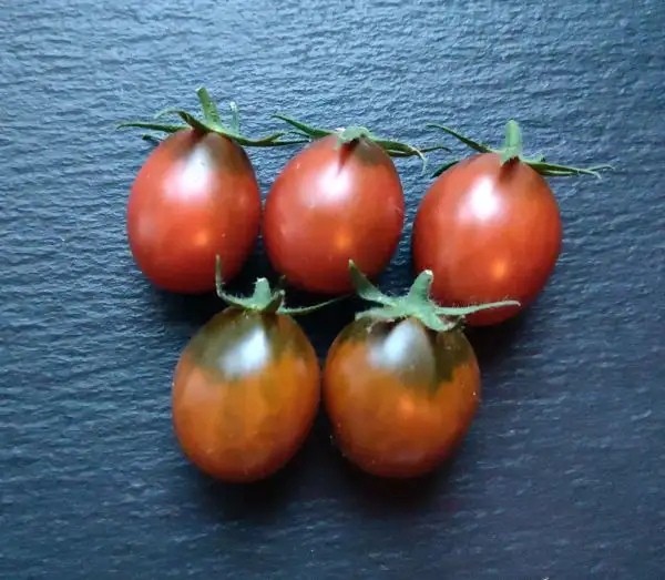 Tomaten: Brown Egg Cherry