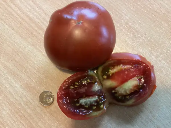 Tomaten: Brown Sugar
