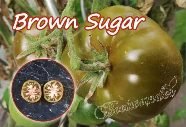 Tomaten: Brown Sugar