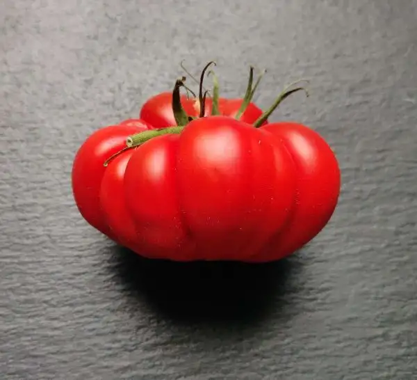 Tomaten: Brutus