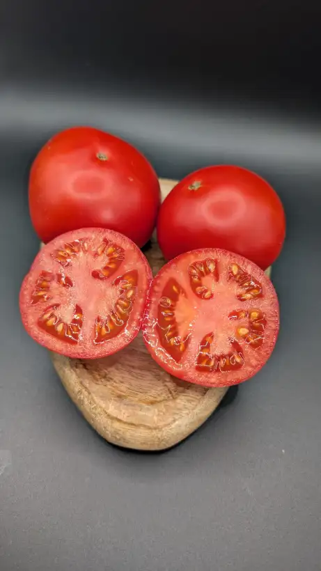 Tomaten: Bubble Gum (Dwarf)