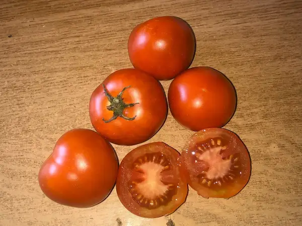 Tomaten: Budaï Torp