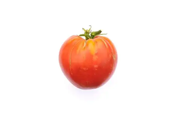 Tomaten: Budjanowka