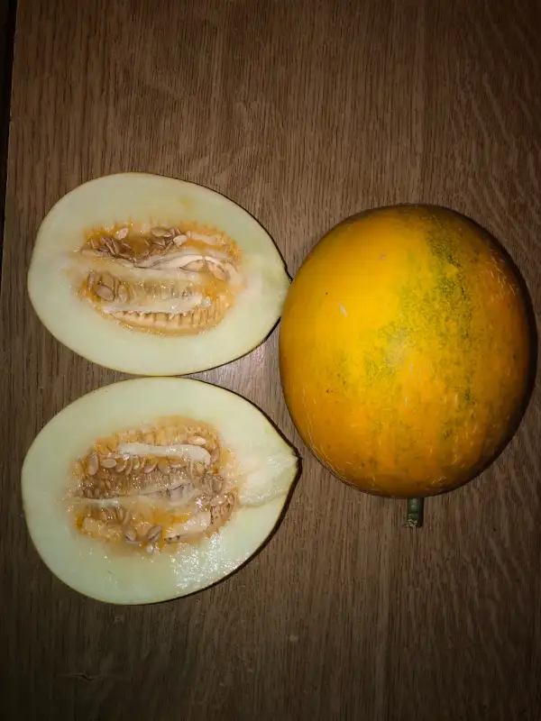 Obst: Bukhara melone