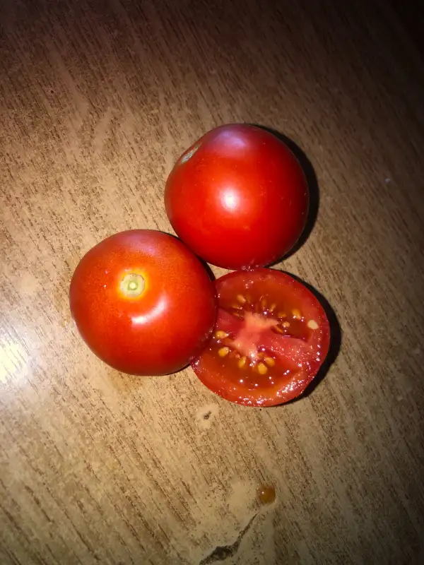 Tomaten: Bulgaria 7