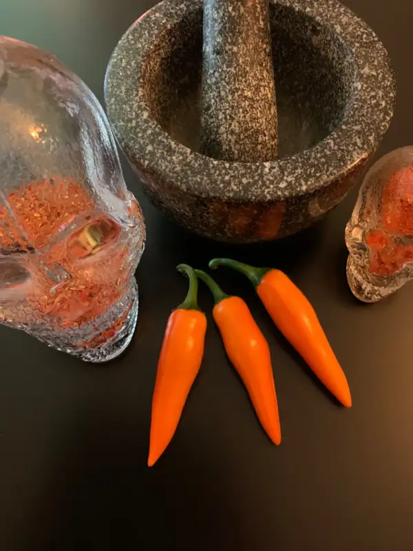 Chili / Paprika: Bulgarian Carrot