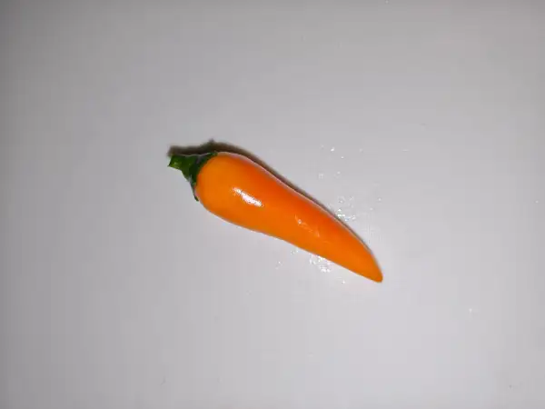 Chili / Paprika: Bulgarian Carrot