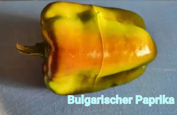 Chili / Paprika: Bulgarischer Paprika