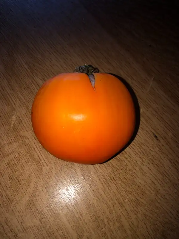 Tomaten: Bull