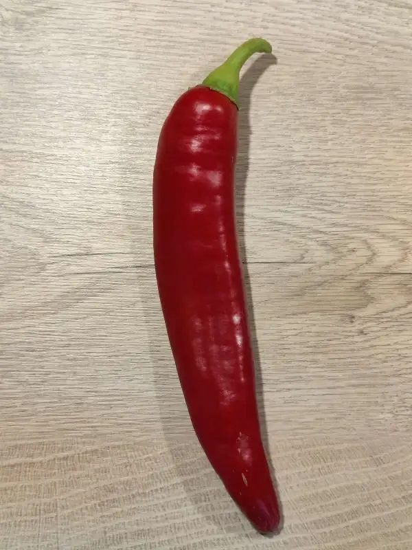 Chili / Paprika: Bullhorn Chili