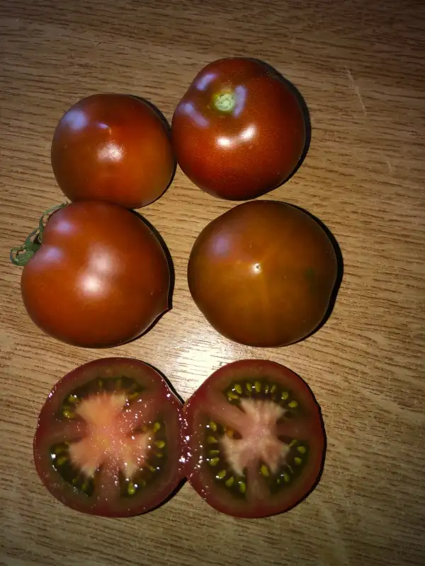 Tomaten: Bundaberg Rumball